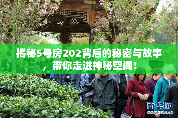 揭秘5号房202背后的秘密与故事，带你走进神秘空间！