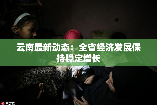 云南最新动态：全省经济发展保持稳定增长