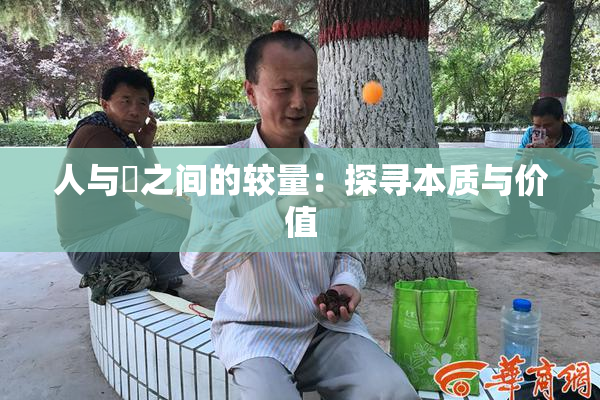 人与嘼之间的较量：探寻本质与价值