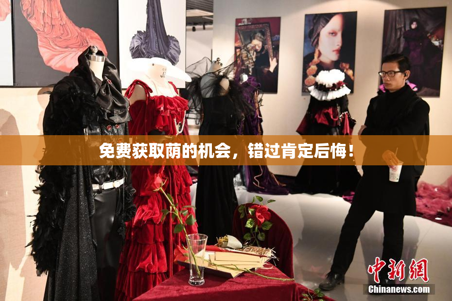 免费获取荫的机会，错过肯定后悔！