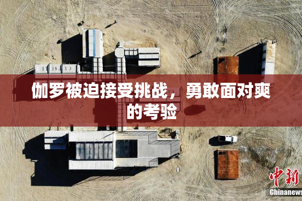 伽罗被迫接受挑战，勇敢面对爽的考验