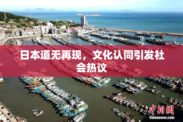 日本道无再现，文化认同引发社会热议