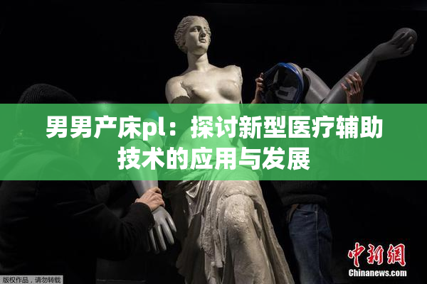 男男产床pl：探讨新型医疗辅助技术的应用与发展