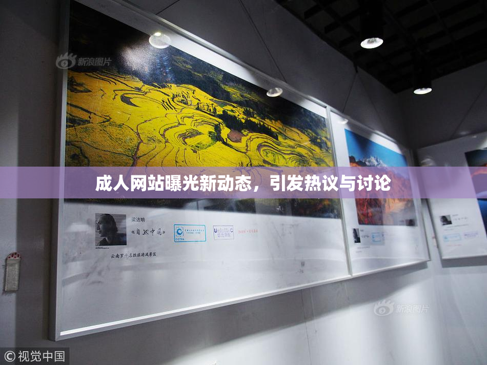 成人网站曝光新动态，引发热议与讨论