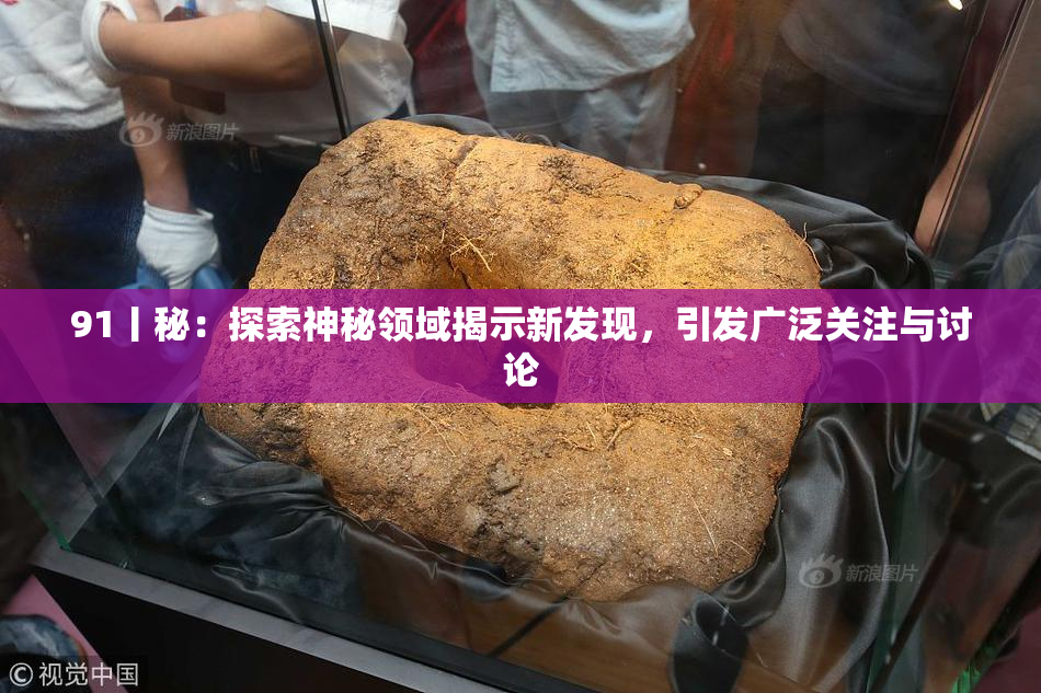 91丨秘：探索神秘领域揭示新发现，引发广泛关注与讨论