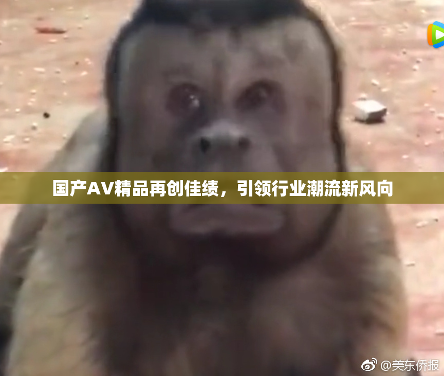 国产AV精品再创佳绩，引领行业潮流新风向
