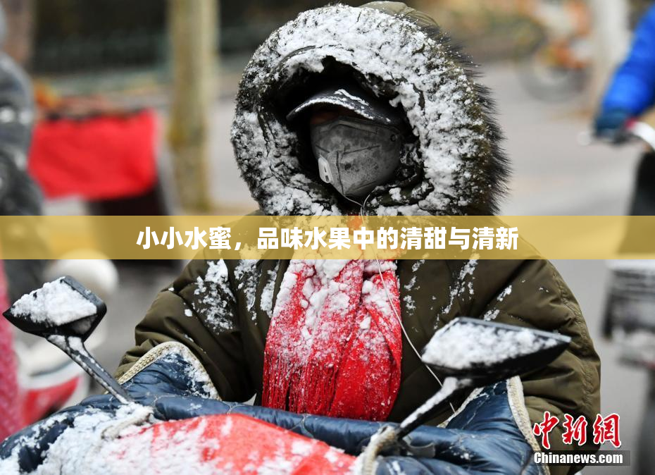 小小水蜜，品味水果中的清甜与清新