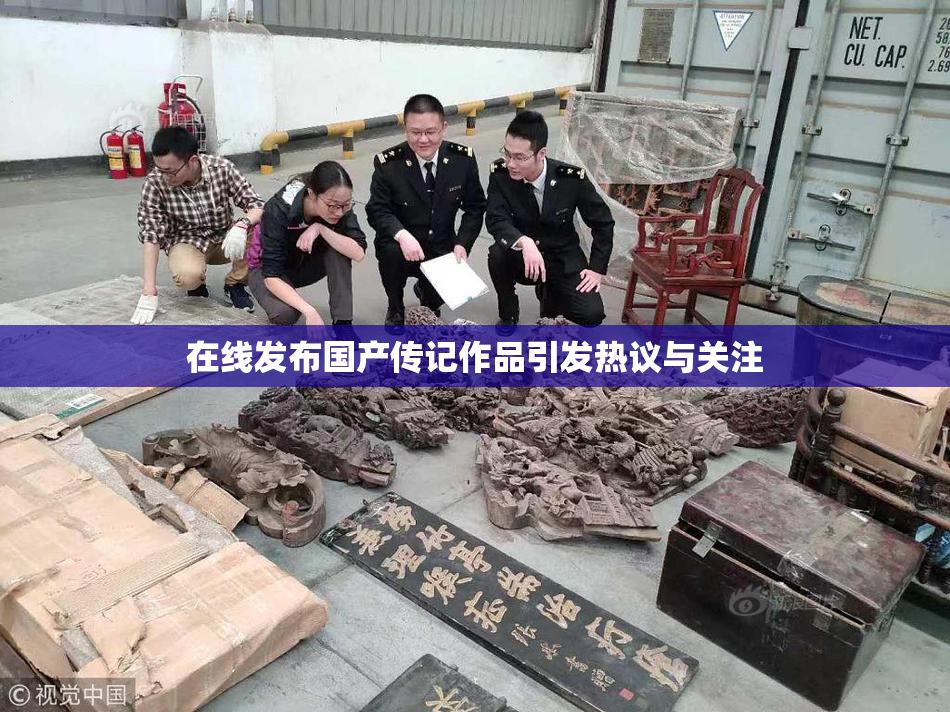 在线发布国产传记作品引发热议与关注
