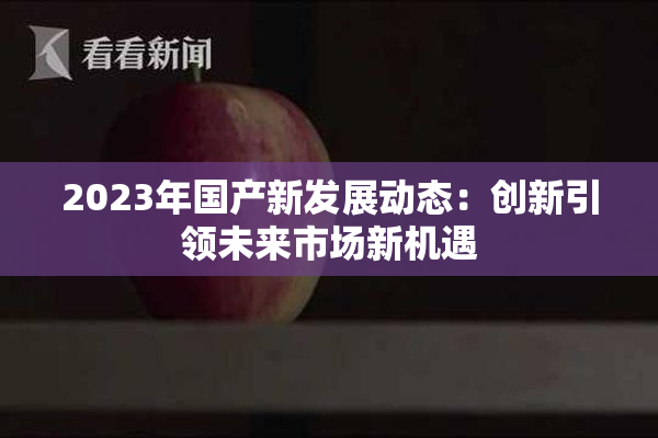 2023年国产新发展动态：创新引领未来市场新机遇