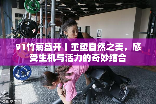 91竹菊盛开丨重塑自然之美，感受生机与活力的奇妙结合