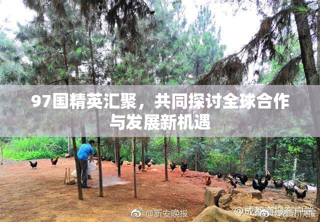 97国精英汇聚，共同探讨全球合作与发展新机遇
