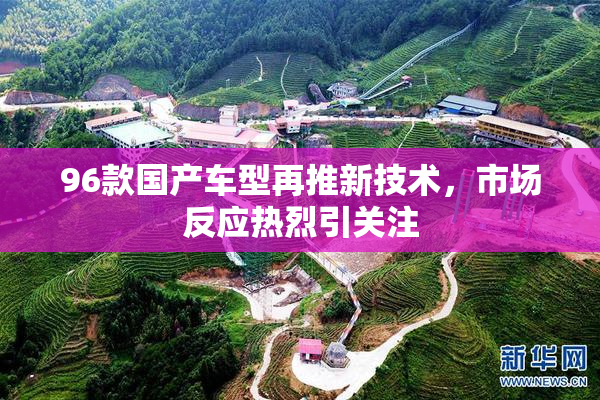 96款国产车型再推新技术，市场反应热烈引关注