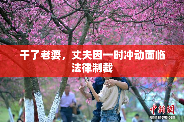 干了老婆，丈夫因一时冲动面临法律制裁