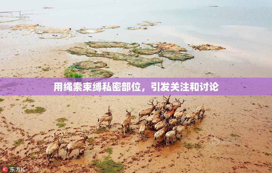 用绳索束缚私密部位，引发关注和讨论