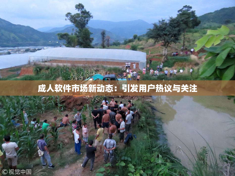 成人软件市场新动态：引发用户热议与关注