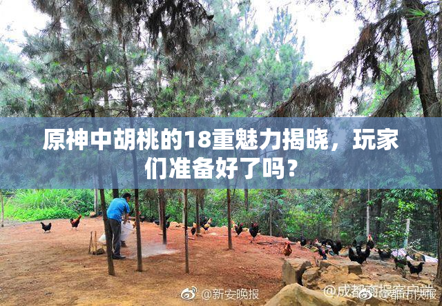 原神中胡桃的18重魅力揭晓，玩家们准备好了吗？