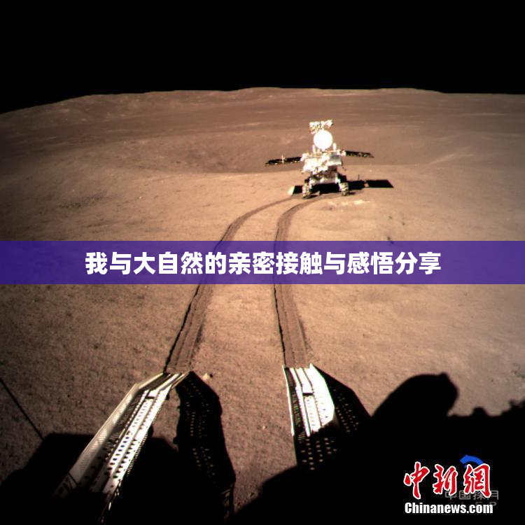 我与大自然的亲密接触与感悟分享