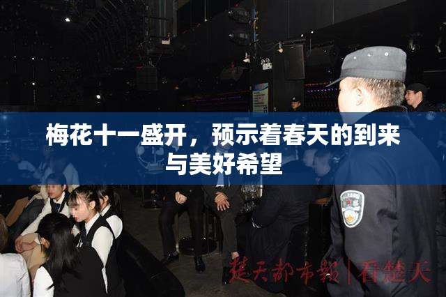 梅花十一盛开，预示着春天的到来与美好希望