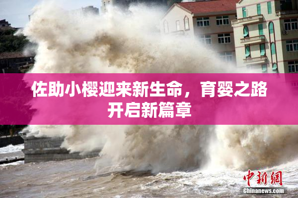 佐助小樱迎来新生命，育婴之路开启新篇章