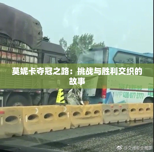 莫妮卡夺冠之路：挑战与胜利交织的故事
