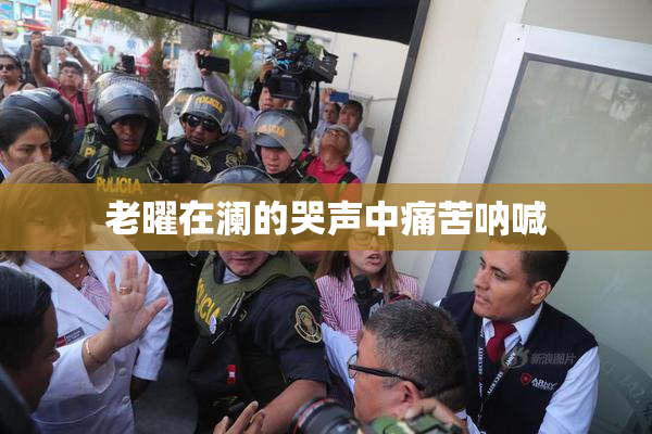 老曜在澜的哭声中痛苦呐喊