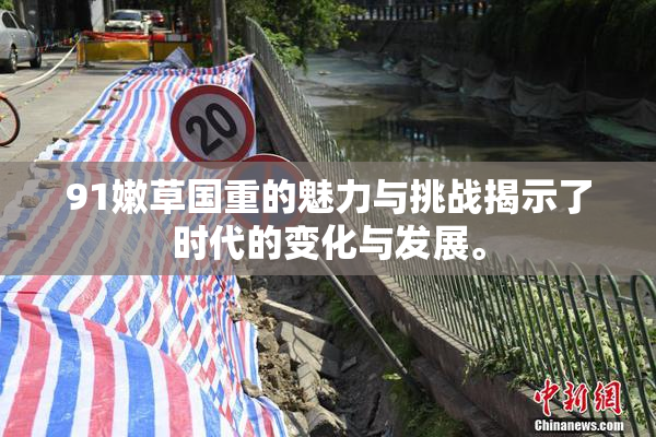 91嫩草国重的魅力与挑战揭示了时代的变化与发展。