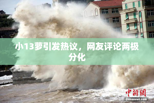 小13萝引发热议，网友评论两极分化