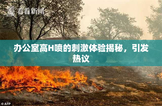 办公室高H喷的刺激体验揭秘，引发热议