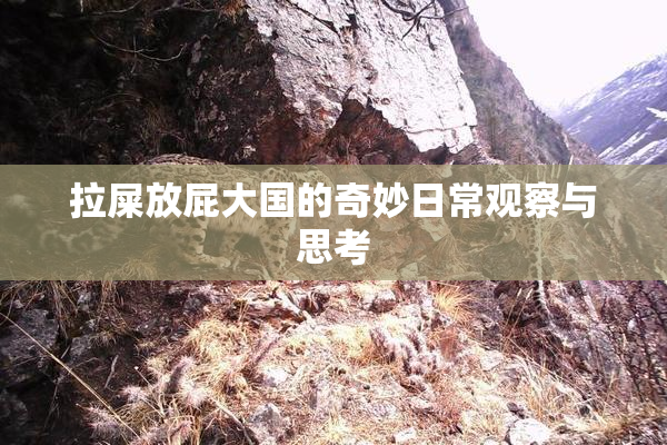 拉屎放屁大国的奇妙日常观察与思考