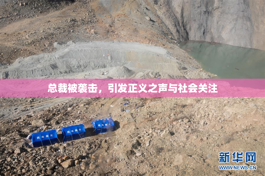 总裁被袭击，引发正义之声与社会关注