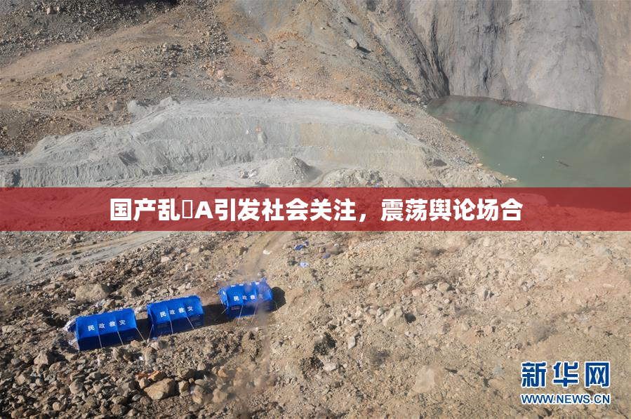国产乱婬A引发社会关注，震荡舆论场合