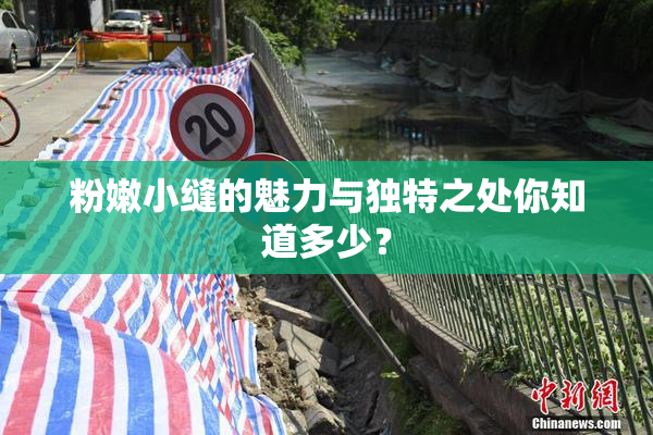 粉嫩小缝的魅力与独特之处你知道多少？