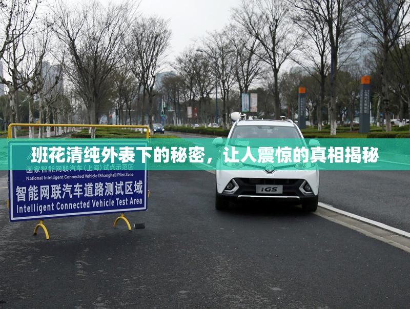 班花清纯外表下的秘密，让人震惊的真相揭秘