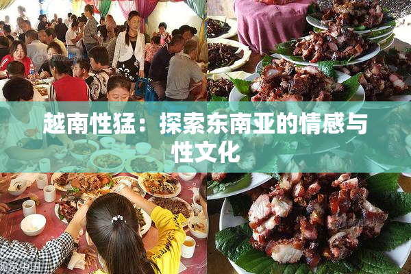 越南性猛：探索东南亚的情感与性文化