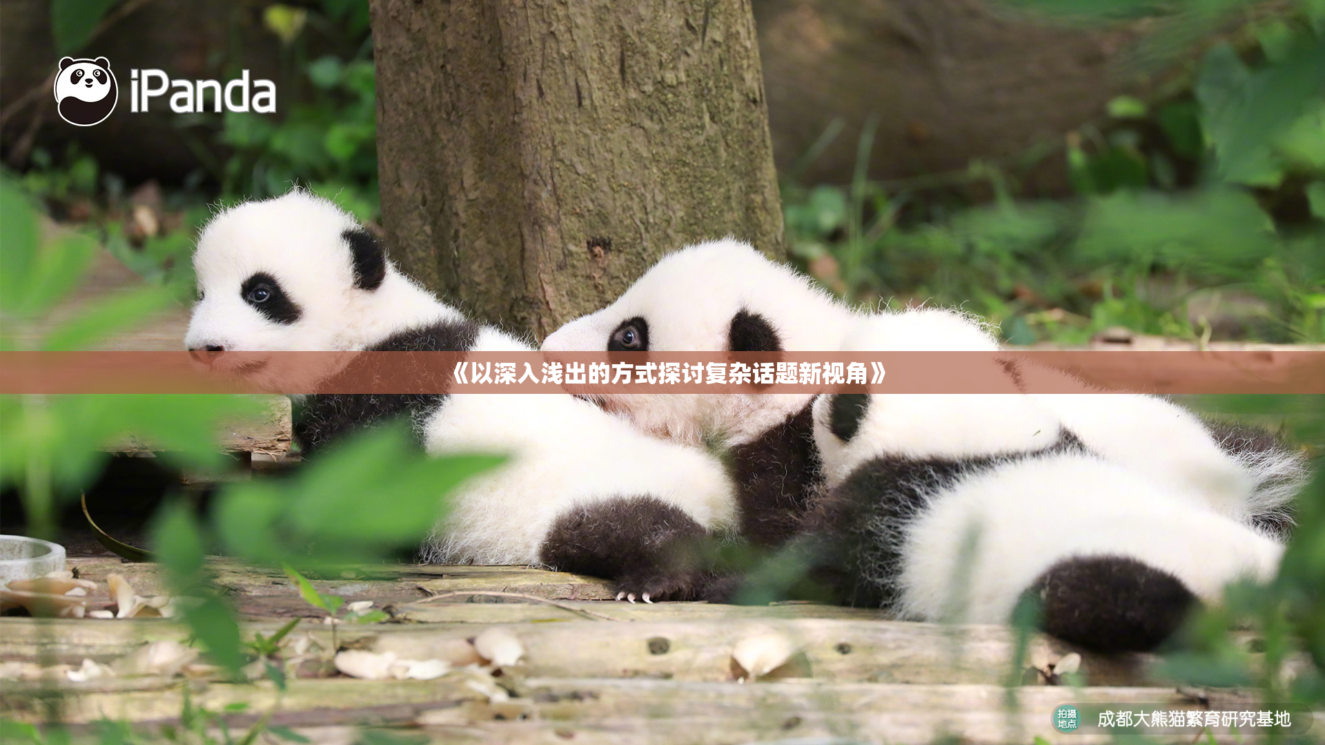 《以深入浅出的方式探讨复杂话题新视角》