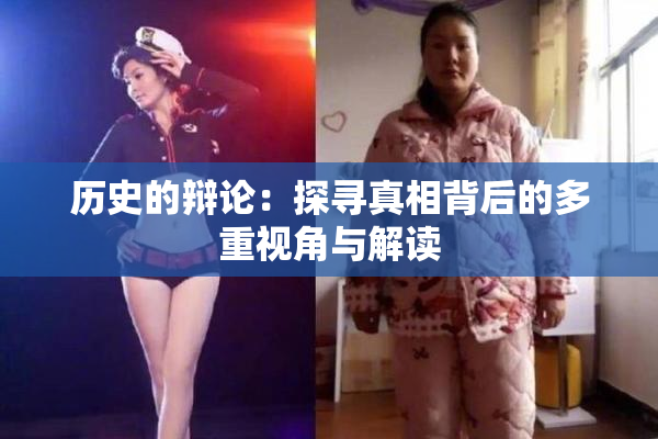 历史的辩论：探寻真相背后的多重视角与解读