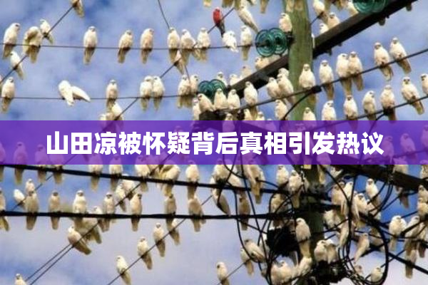 山田凉被怀疑背后真相引发热议
