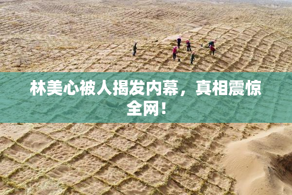 林美心被人揭发内幕，真相震惊全网！