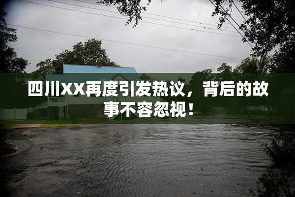四川XX再度引发热议，背后的故事不容忽视！