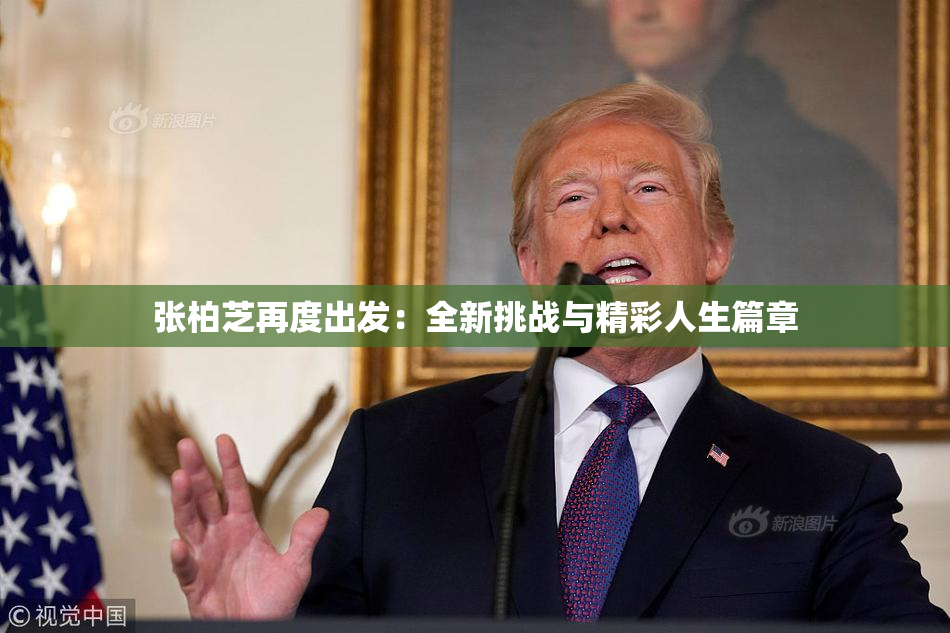 张柏芝再度出发：全新挑战与精彩人生篇章