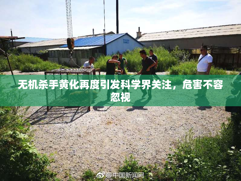 无机杀手黄化再度引发科学界关注，危害不容忽视