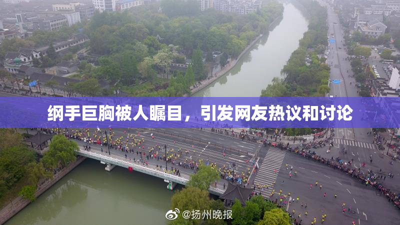 纲手巨胸被人瞩目，引发网友热议和讨论