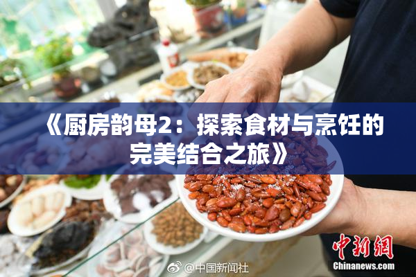 《厨房韵母2：探索食材与烹饪的完美结合之旅》