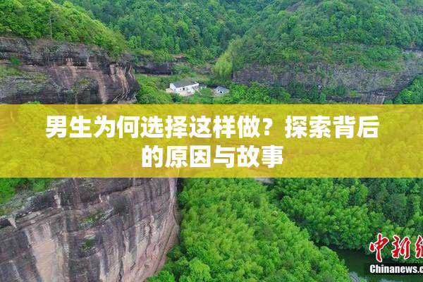 男生为何选择这样做？探索背后的原因与故事