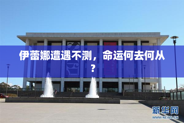 伊蕾娜遭遇不测，命运何去何从？