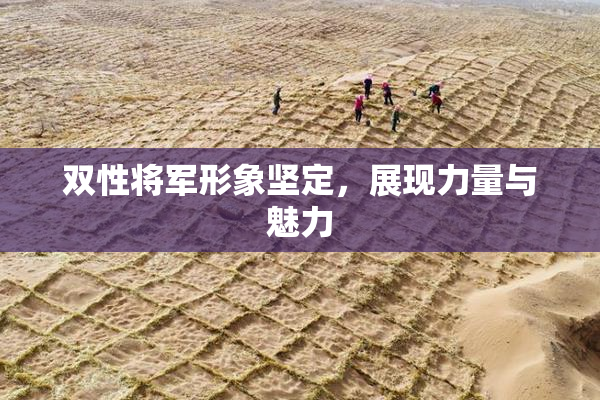 双性将军形象坚定，展现力量与魅力