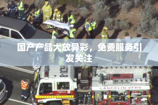 国产产品大放异彩，免费服务引发关注