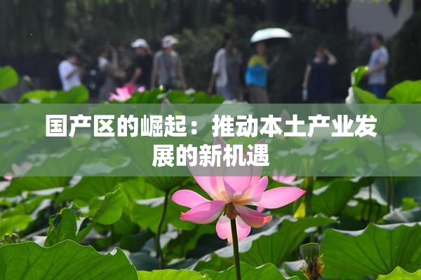 国产区的崛起：推动本土产业发展的新机遇