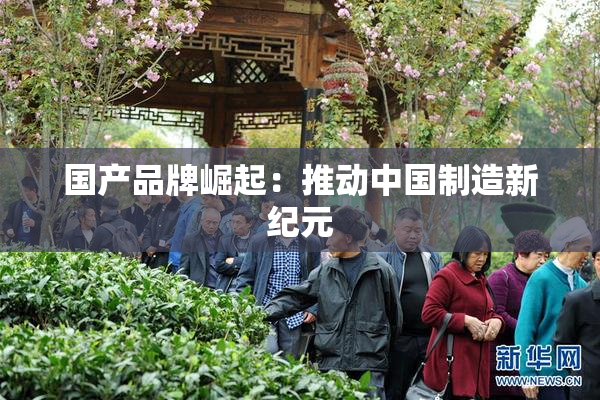 国产品牌崛起：推动中国制造新纪元