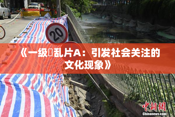 《一级婬乱片A：引发社会关注的文化现象》